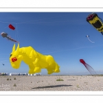 Le festival de Cerfs-volants le long du chemin des planches