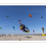 Le festival de Cerfs-volants le long du chemin des planches