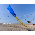 Le festival de Cerfs-volants le long du chemin des planches