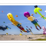 Le festival de Cerfs-volants le long du chemin des planches