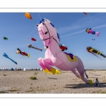 Le festival de Cerfs-volants le long du chemin des planches