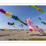 Le festival de Cerfs-volants le long du chemin des planches