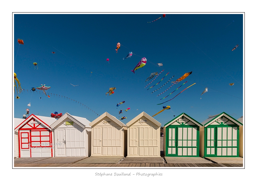 Cayeux_CerfsVolants_6_6_2015_019-BorderMaker