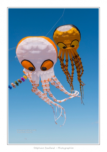 Cayeux_CerfsVolants_6_6_2015_043-BorderMaker