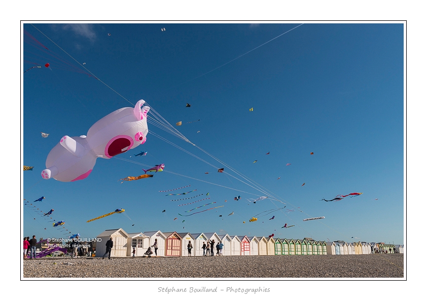 Cayeux_CerfsVolants_6_6_2015_050-BorderMaker