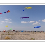 Festival des cerfs-volants de Cayeux-sur-mer