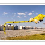 Festival des cerfs-volants de Cayeux-sur-mer