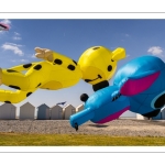 Festival des cerfs-volants de Cayeux-sur-mer