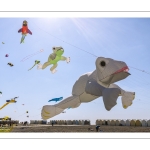 Festival des cerfs-volants de Cayeux-sur-mer