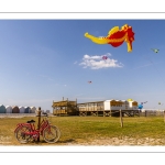 Festival des cerfs-volants de Cayeux-sur-mer