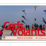 Rencontres Internationales de Cerfs-Volantsde Berck-sur-mer