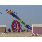 Rencontres Internationales de Cerfs-Volantsde Berck-sur-mer