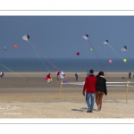 Rencontres Internationales de Cerfs-Volantsde Berck-sur-mer