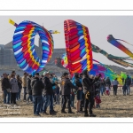 Rencontres Internationales de Cerfs-Volantsde Berck-sur-mer