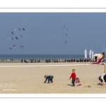 Rencontres Internationales de Cerfs-Volantsde Berck-sur-mer