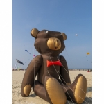 Rencontres Internationales de Cerfs-Volantsde Berck-sur-mer