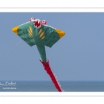 Rencontres Internationales de Cerfs-Volantsde Berck-sur-mer