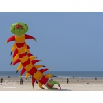 Rencontres Internationales de Cerfs-Volantsde Berck-sur-mer