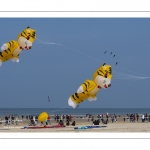 Rencontres Internationales de Cerfs-Volantsde Berck-sur-mer