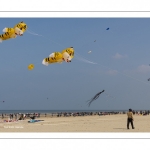 Rencontres Internationales de Cerfs-Volantsde Berck-sur-mer