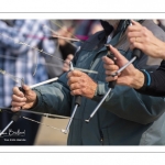 Rencontres Internationales de Cerfs-Volantsde Berck-sur-mer