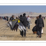 Rencontres Internationales de Cerfs-Volantsde Berck-sur-mer