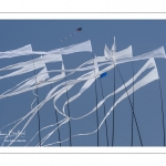 Rencontres Internationales de Cerfs-Volantsde Berck-sur-mer