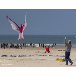 Rencontres Internationales de Cerfs-Volantsde Berck-sur-mer