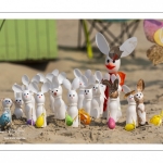 Rencontres Internationales de Cerfs-Volantsde Berck-sur-mer