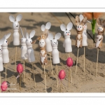 Rencontres Internationales de Cerfs-Volantsde Berck-sur-mer