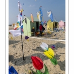 Rencontres Internationales de Cerfs-Volantsde Berck-sur-mer