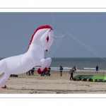 Rencontres Internationales de Cerfs-Volantsde Berck-sur-mer