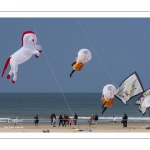 Rencontres Internationales de Cerfs-Volantsde Berck-sur-mer