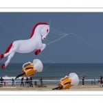 Rencontres Internationales de Cerfs-Volantsde Berck-sur-mer