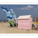 Rencontres Internationales de Cerfs-Volantsde Berck-sur-mer