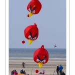 Rencontres Internationales de Cerfs-Volantsde Berck-sur-mer