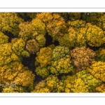 La forêt de Crécy en automne (vue aérienne)