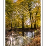 La mare du faux soleil en forêt de Crécy à l'automne