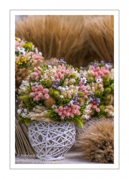 Bouquet sec - fleurs séchées - Journées des Plantes de Chantilly