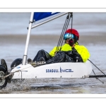 Les chars-à-voile à Ault