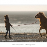 Une jeune fille travaille au dÃ©bourrage de son cheval Henson, dans les molliÃ¨res. La race Henson a Ã©tÃ© dÃ©veloppÃ©e en Baie de Somme - Saison : Hiver - Lieu :  Plages de la Maye, Le Crotoy, Baie de Somme, Somme, Picardie, France