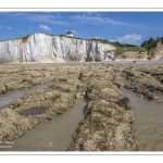 Au pied des falaises du bois de Cise