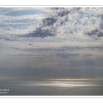 Sur les falaises entre Ault et le Bois de Cise