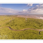 Les mollières de la Baie de Somme au petit matin au Cap Hornu (vue aérienne)