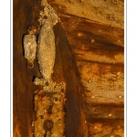 DÃ©tail de la coque de l'Ã©pave d'un chalutier dans le cimetiÃ¨re Ã  bateau au Crotoy (Baie de Somme) Saison : hiver - Lieu : Le Crotoy, Baie de Somme, Somme, Picardie, France.