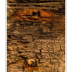 DÃ©tail de la coque de l'Ã©pave d'un chalutier dans le cimetiÃ¨re Ã  bateau au Crotoy (Baie de Somme) Saison : hiver - Lieu : Le Crotoy, Baie de Somme, Somme, Picardie, France.