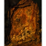 DÃ©tail de la coque de l'Ã©pave d'un chalutier dans le cimetiÃ¨re Ã  bateau au Crotoy (Baie de Somme) Saison : hiver - Lieu : Le Crotoy, Baie de Somme, Somme, Picardie, France.