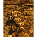 DÃ©tail de la coque de l'Ã©pave d'un chalutier dans le cimetiÃ¨re Ã  bateau au Crotoy (Baie de Somme) Saison : hiver - Lieu : Le Crotoy, Baie de Somme, Somme, Picardie, France.