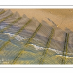 France, Pas-de-Calais (62), côte d'Opale, Grand site des deux caps, La plage de Tardinghen avec ses bouchots pour la culture des moules, le cap blanc-nez en arrière plan et l’épave du Lord Grey, ce chalutier britannique, long de 37 mètres, réquisitionné en 1915 par la Royal Navy et transformé en démineur, qui a sombré le 2 décembre 1917 lors d'une tempête  (Vue aérienne)// France, Pas-de-Calais (62), Opal Coast, Great site of the two capes, Tardinghen beach with its bouchots for mussel farming, the Cap Blanc-Nez in the background and the wreck of the Lord Grey, this 37-meter long British trawler, requisitioned in 1915 by the Royal Navy and transformed into a mine-clearer, which sank on December 2, 1917 during a storm (aerial view)