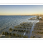 France, Pas-de-Calais (62), côte d'Opale, Grand site des deux caps, La plage de Tardinghen avec ses bouchots pour la culture des moules, le cap blanc-nez en arrière plan et l’épave du Lord Grey, ce chalutier britannique, long de 37 mètres, réquisitionné en 1915 par la Royal Navy et transformé en démineur, qui a sombré le 2 décembre 1917 lors d'une tempête // France, Pas-de-Calais (62), Opal Coast, Great site of the two capes, Tardinghen beach with its bouchots for mussel farming, the Cap Blanc-Nez in the background and the wreck of the Lord Grey, this 37-meter long British trawler, requisitioned in 1915 by the Royal Navy and transformed into a mine-clearer, which sank on December 2, 1917 during a storm.